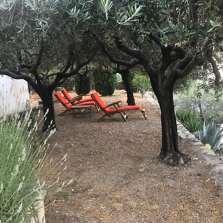 Le Clos En Provence Flayosc Oda fotoğraf
