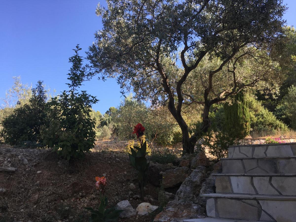 Le Clos En Provence Flayosc Dış mekan fotoğraf