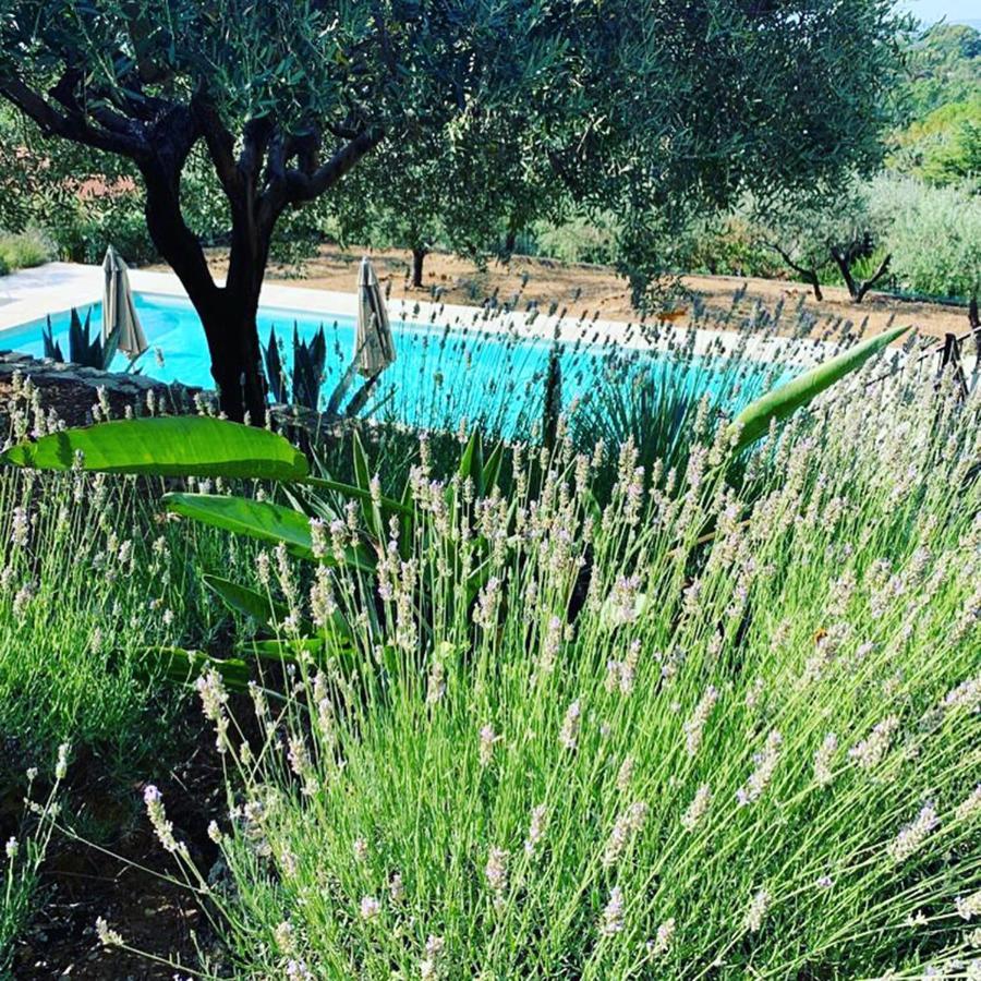 Le Clos En Provence Flayosc Dış mekan fotoğraf