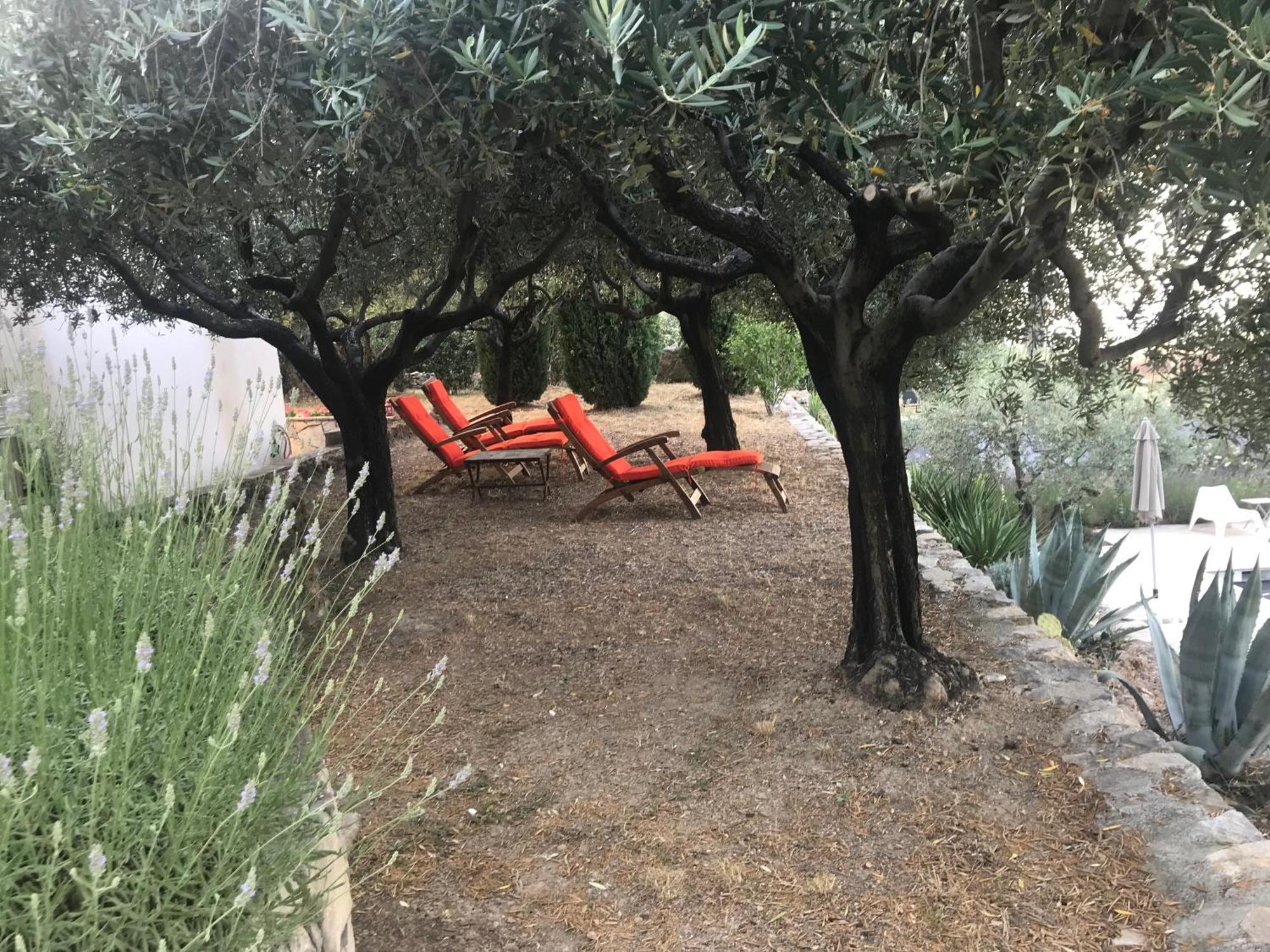 Le Clos En Provence Flayosc Oda fotoğraf
